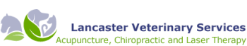lvs-veterinary-and-chiropractic-logo