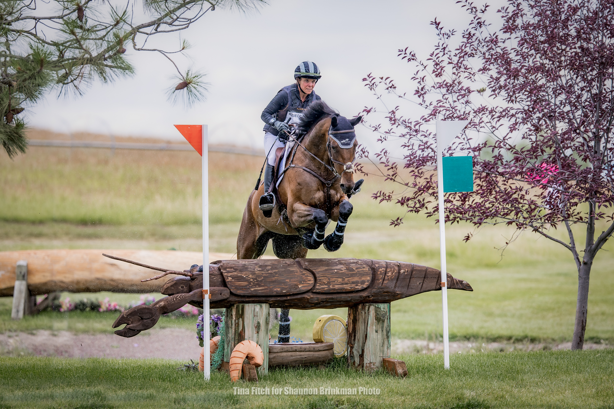 RF25Brinkman7-19xTF-3462