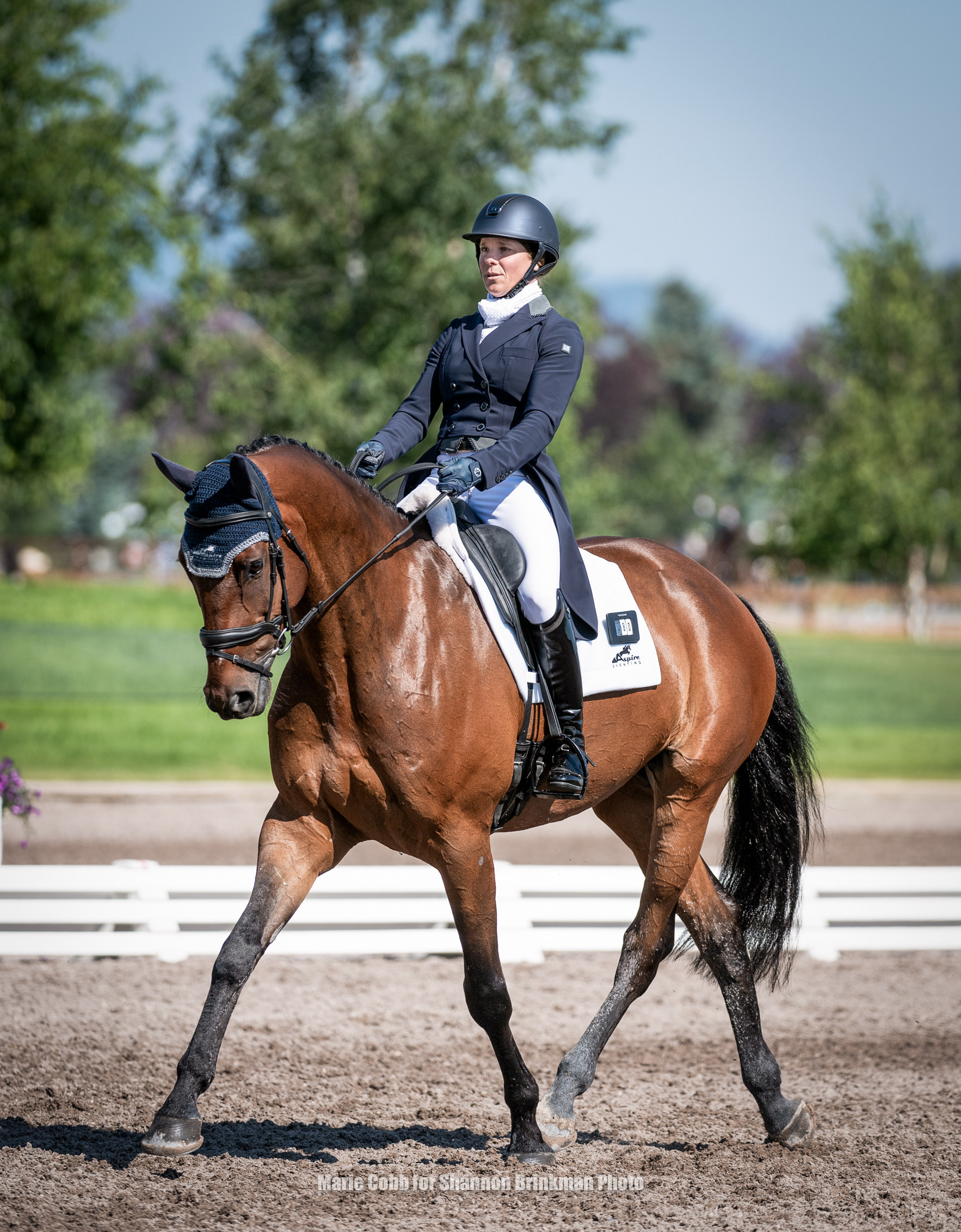 RF25brinkman7-18ds2mc_7226